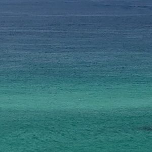 Meet your Posher, Karla